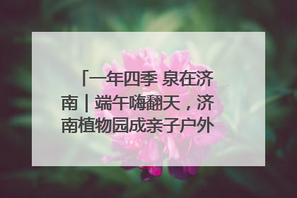 一年四季 泉在济南｜端午嗨翻天，济南植物园成亲子户外热门打卡地