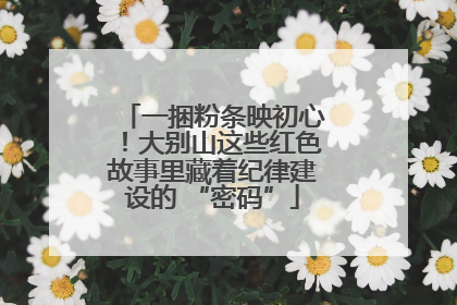 一捆粉条映初心！大别山这些红色故事里藏着纪律建设的 “密码”