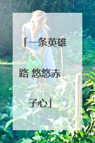 一条英雄路 悠悠赤子心
