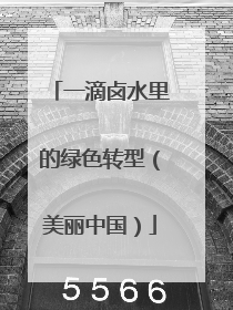 一滴卤水里的绿色转型（美丽中国）