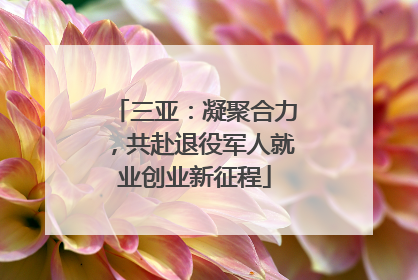 三亚：凝聚合力，共赴退役军人就业创业新征程