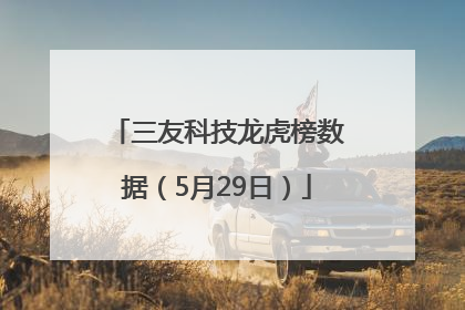 三友科技龙虎榜数据（5月29日）