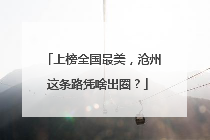 上榜全国最美，沧州这条路凭啥出圈？