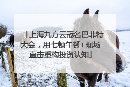 上海九方云冠名巴菲特大会，用七顿午餐+现场直击重构投资认知