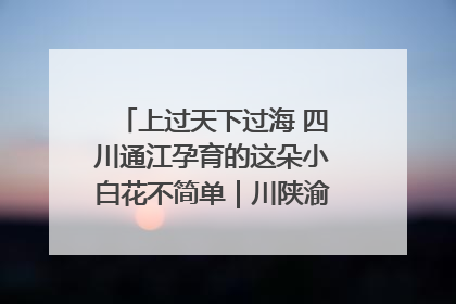 上过天下过海 四川通江孕育的这朵小白花不简单｜川陕渝网络名人巴中行