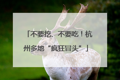 不要挖、不要吃！杭州多地“疯狂冒头”