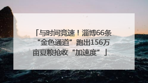 与时间竞速！淄博66条“金色通道”跑出156万亩夏粮抢收“加速度”
