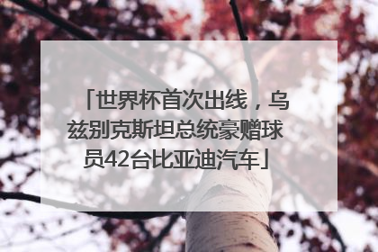 世界杯首次出线，乌兹别克斯坦总统豪赠球员42台比亚迪汽车