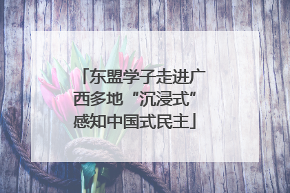 东盟学子走进广西多地“沉浸式”感知中国式民主