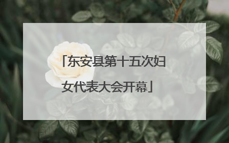 东安县第十五次妇女代表大会开幕