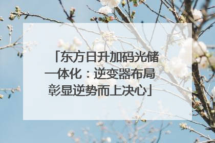 东方日升加码光储一体化：逆变器布局彰显逆势而上决心
