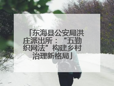 东海县公安局洪庄派出所：“五勤织网法”构建乡村治理新格局