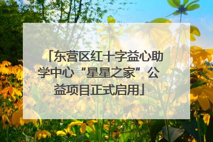 东营区红十字益心助学中心“星星之家”公益项目正式启用