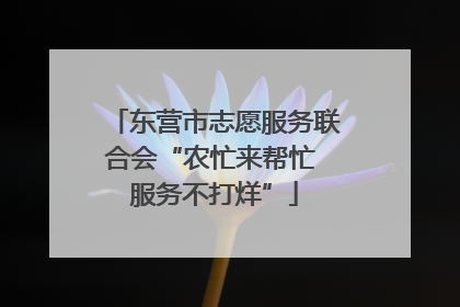 东营市志愿服务联合会“农忙来帮忙 服务不打烊”