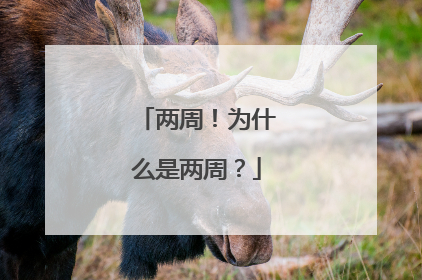 两周！为什么是两周？