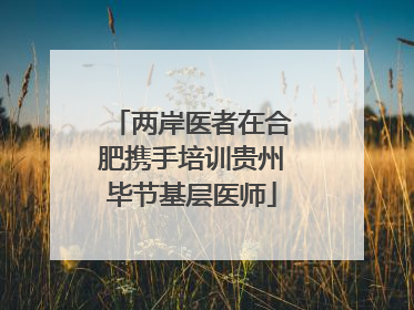 两岸医者在合肥携手培训贵州毕节基层医师
