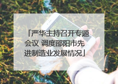 严华主持召开专题会议 调度邵阳市先进制造业发展情况