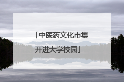 中医药文化市集开进大学校园