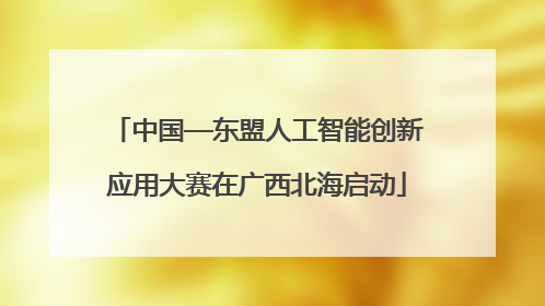 中国—东盟人工智能创新应用大赛在广西北海启动