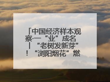 中国经济样本观察·一“业”成名丨“老树发新芽”！“浏阳烟花”燃亮世界