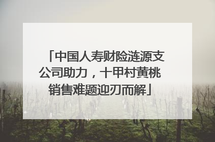 中国人寿财险涟源支公司助力，十甲村黄桃销售难题迎刃而解