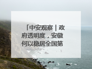 中安观察｜政府透明度，安徽何以稳居全国第一方阵？