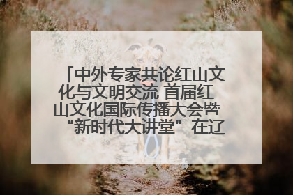 中外专家共论红山文化与文明交流 首届红山文化国际传播大会暨“新时代大讲堂”在辽宁朝阳举办