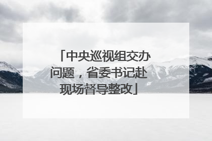 中央巡视组交办问题，省委书记赴现场督导整改