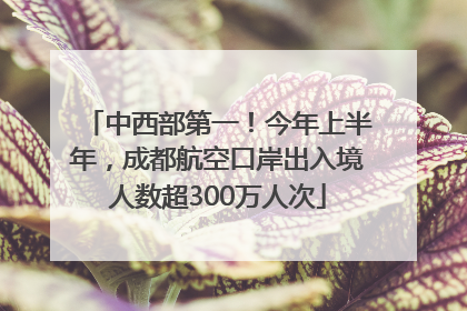 中西部第一！今年上半年，成都航空口岸出入境人数超300万人次