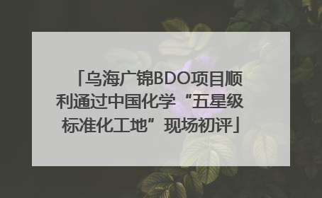 乌海广锦BDO项目顺利通过中国化学“五星级标准化工地”现场初评