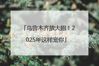 乌鲁木齐放大招！2025年这样宠你