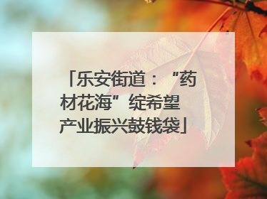 乐安街道：“药材花海”绽希望 产业振兴鼓钱袋