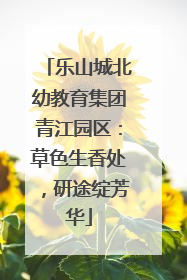 乐山城北幼教育集团青江园区：草色生香处，研途绽芳华