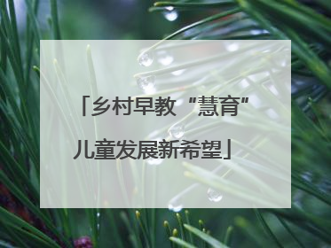乡村早教“慧育”儿童发展新希望