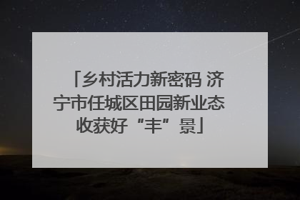 乡村活力新密码 济宁市任城区田园新业态收获好“丰”景