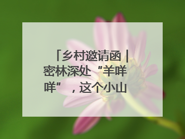 乡村邀请函｜密林深处“羊咩咩”，这个小山村如何逆袭？