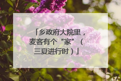 乡政府大院里，麦客有个“家”（三夏进行时）