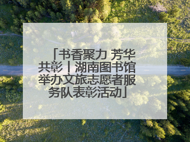 书香聚力 芳华共彰丨湖南图书馆举办文旅志愿者服务队表彰活动