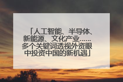 人工智能、半导体、新能源、文化产业……多个关键词透视外资眼中投资中国的新机遇