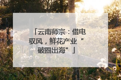 云南师宗：借电驭风，鲜花产业“破圈出海”