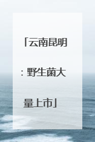云南昆明：野生菌大量上市