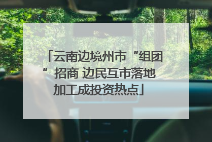 云南边境州市“组团”招商 边民互市落地加工成投资热点