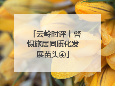 云岭时评丨警惕旅居同质化发展苗头④