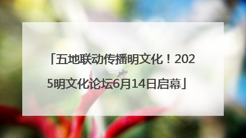 五地联动传播明文化！2025明文化论坛6月14日启幕
