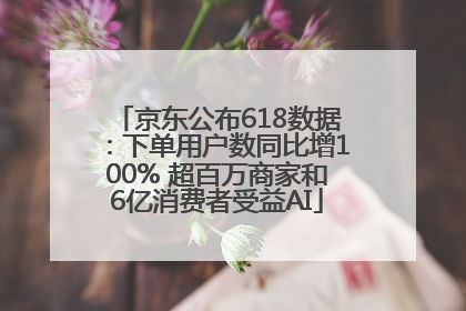 京东公布618数据：下单用户数同比增100% 超百万商家和6亿消费者受益AI