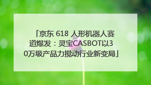 京东 618 人形机器人赛道爆发：灵宝CASBOT以30万级产品力搅动行业新变局