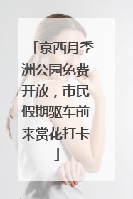 京西月季洲公园免费开放，市民假期驱车前来赏花打卡
