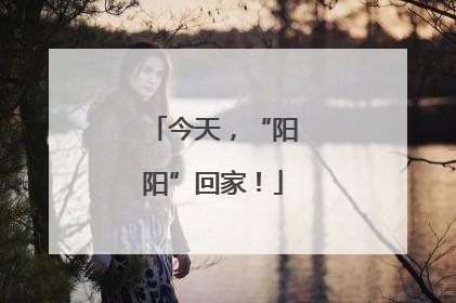 今天，“阳阳”回家！