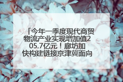 今年一季度现代商贸物流产业实现增加值205.7亿元！廊坊加快构建链接京津冀面向全世界的物流通道