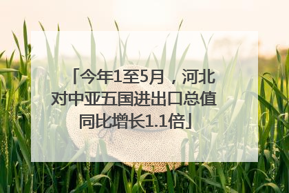 今年1至5月，河北对中亚五国进出口总值同比增长1.1倍